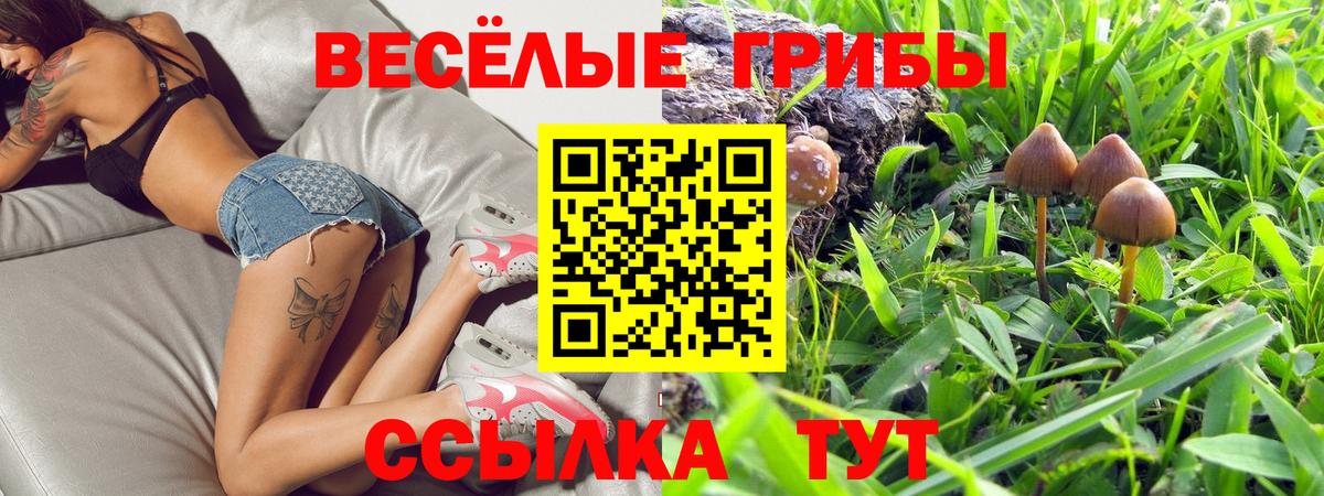 Псилоцибиновые грибы ЛСД Лабинск