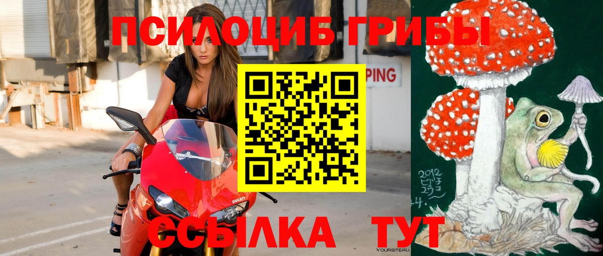 Лабинск  Псилоцибиновые грибы Magic Shrooms  Вход с VPN 
